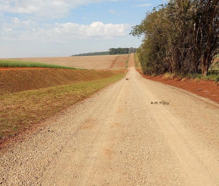 Fazenda consegue parceria com prefeitura de Avaré para asfaltar estrada - sudoestepaulista