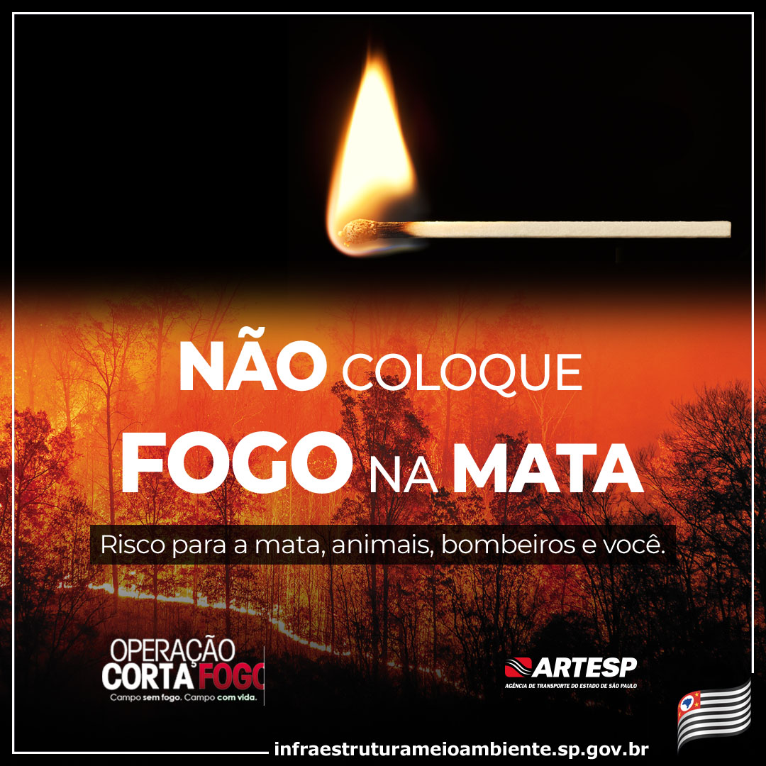 60% dos focos de incêndio acontecem entre os meses de junho e setembro - sudoestepaulista