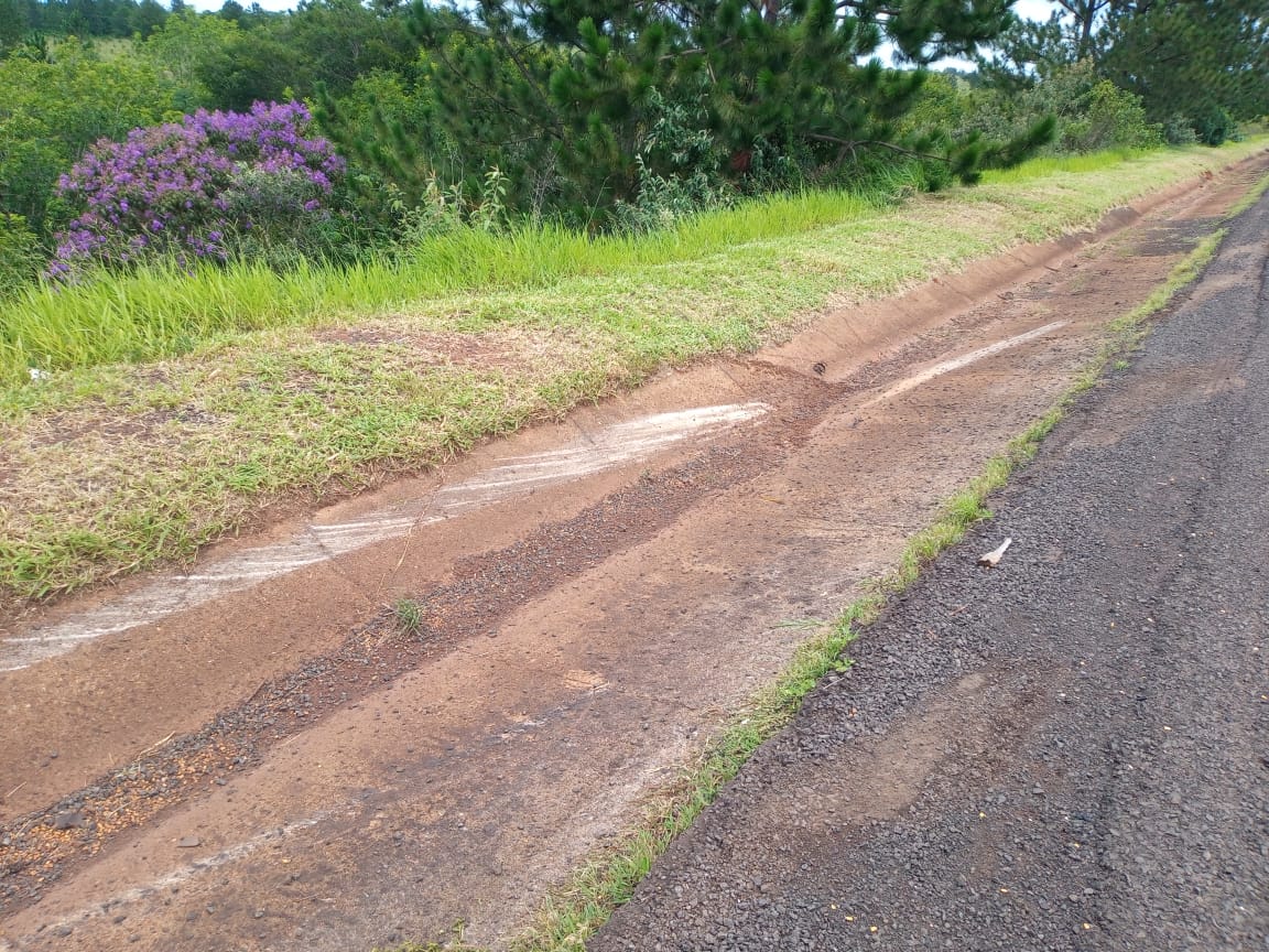 Carro voa sobre árvore, cai em barranco e para a centímetros de rio - sudoestepaulista