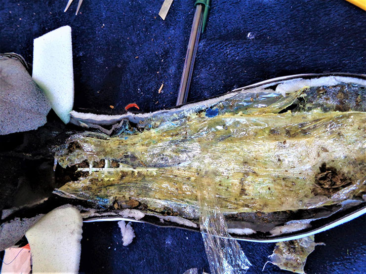 Maconha é flagrada em par de tênis na Penitenciária de Bernardino de Campos - sudoestepaulista