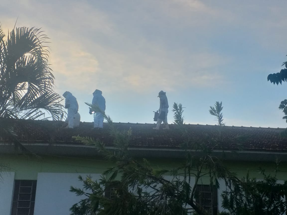 Bombeiros e comunidade de Barão de Antonina se unem para remoção de abelhas que moravam em igreja - sudoestepaulista