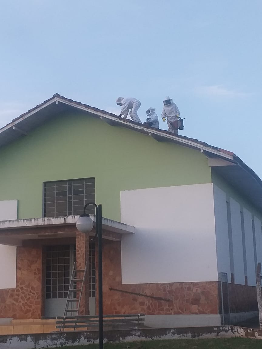 Bombeiros e comunidade de Barão de Antonina se unem para remoção de abelhas que moravam em igreja - sudoestepaulista