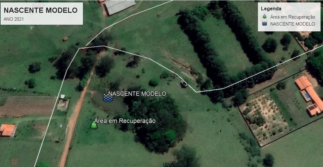 Degradada ao longo dos anos, Nascente Modelo de Avaré segue por processo de restauração florestal - sudoestepaulista