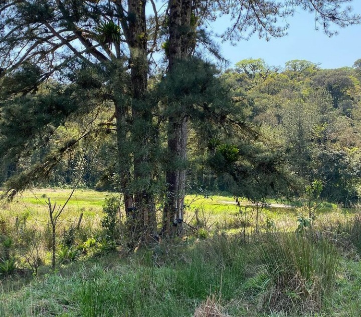 Projeto Parque Nascentes do Paranapanema começa a ser estruturado em Capão Bonito - sudoestepaulista