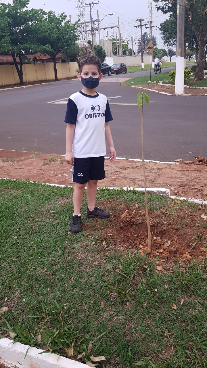 Rotary Club de Bernardino de Campos entra na luta pela preservação do meio ambiente - sudoestepaulista
