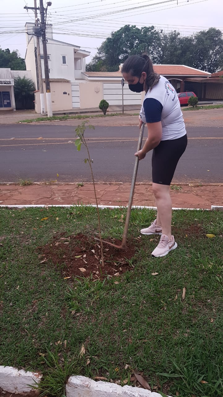 Rotary Club de Bernardino de Campos entra na luta pela preservação do meio ambiente - sudoestepaulista