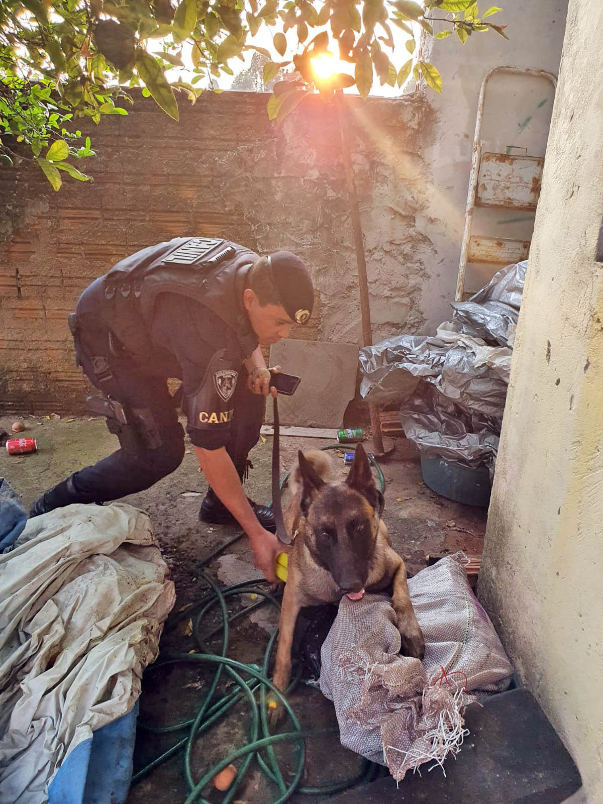 Em Itapeva: ação entre polícias prende em flagrante homem com mais de 21 quilos de maconha - sudoestepaulista