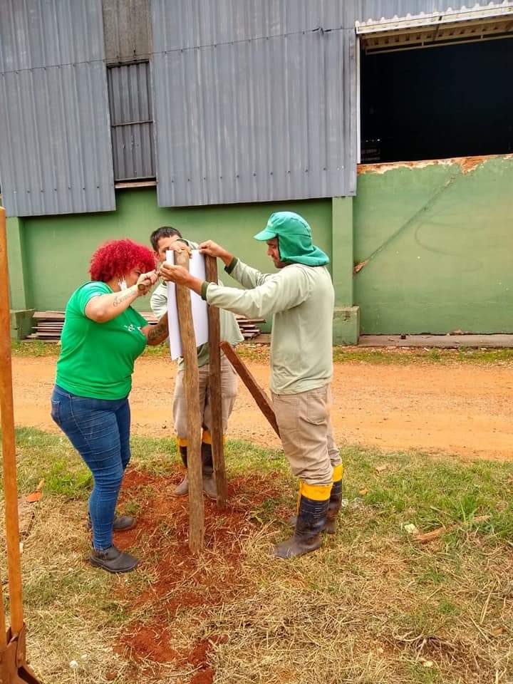 Em Capão Bonito cooperativa investe em pomar de Mata Atlântica - sudoestepaulista