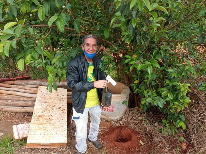 Em Capão Bonito cooperativa investe em pomar de Mata Atlântica - sudoestepaulista