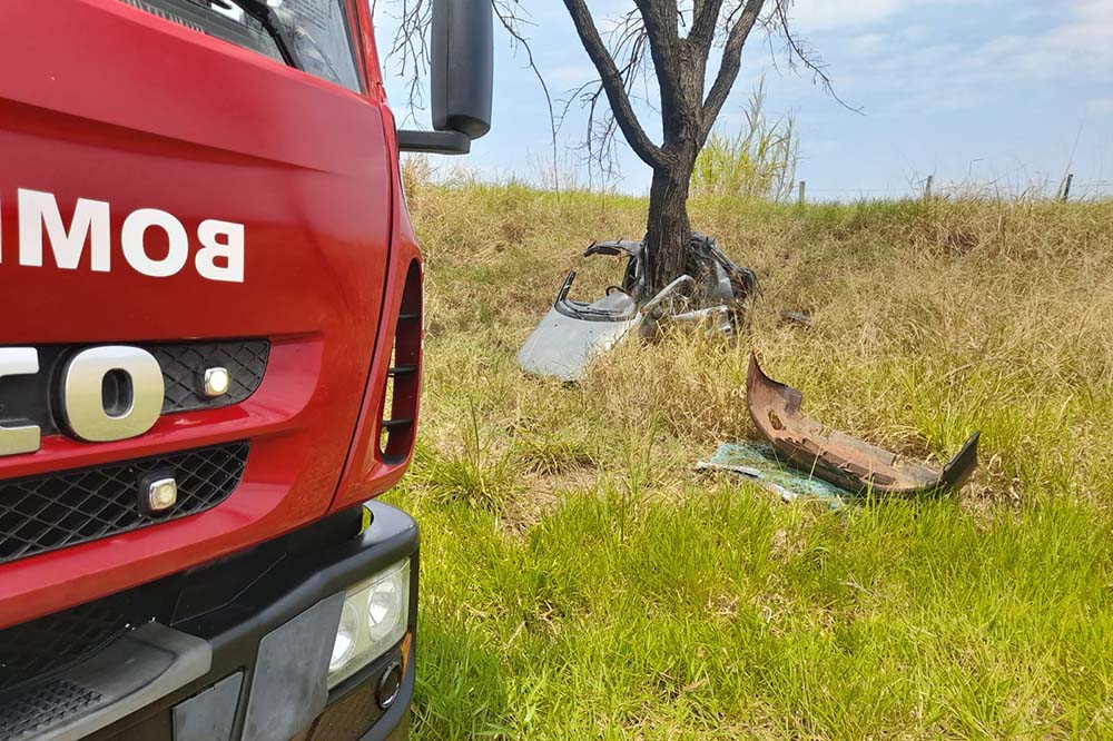 No dia de seu aniversário, homem perde a vida ao bater carro em árvore - sudoestepaulista