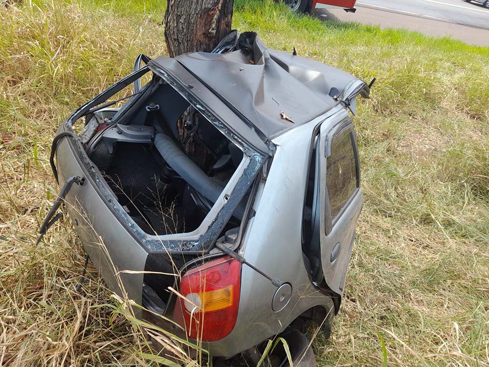 No dia de seu aniversário, homem perde a vida ao bater carro em árvore - sudoestepaulista