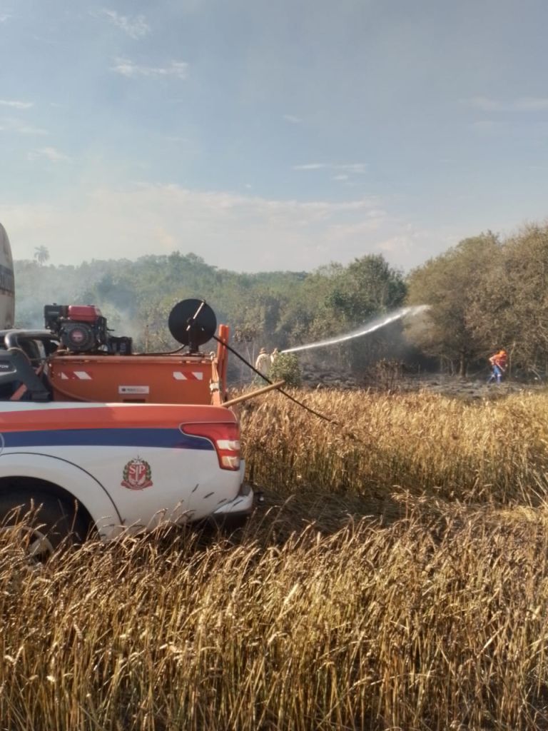 Incêndio devasta 15 alqueires de lavoura de trigo e mata nativa em Taquarituba - sudoestepaulista