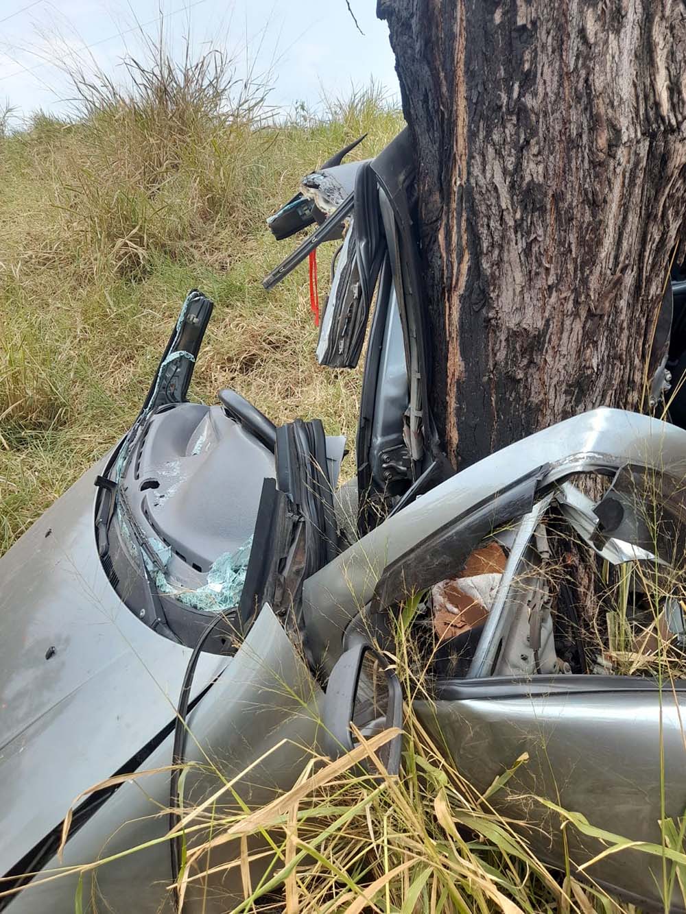 No dia de seu aniversário, homem perde a vida ao bater carro em árvore - sudoestepaulista