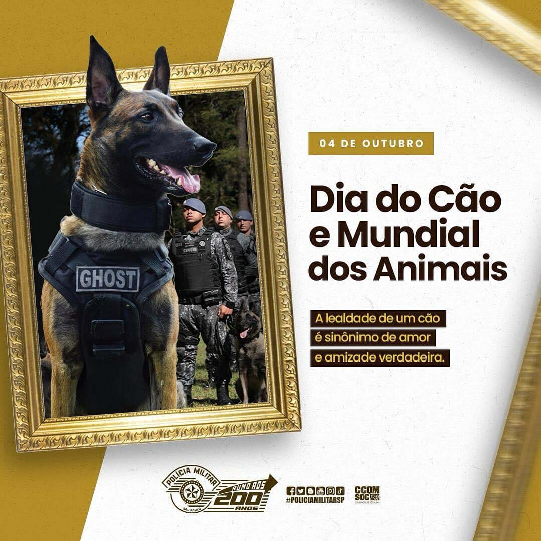 54º Batalhão da PM, em Itapeva, celebra o Dia Mundial dos Animais - sudoestepaulista