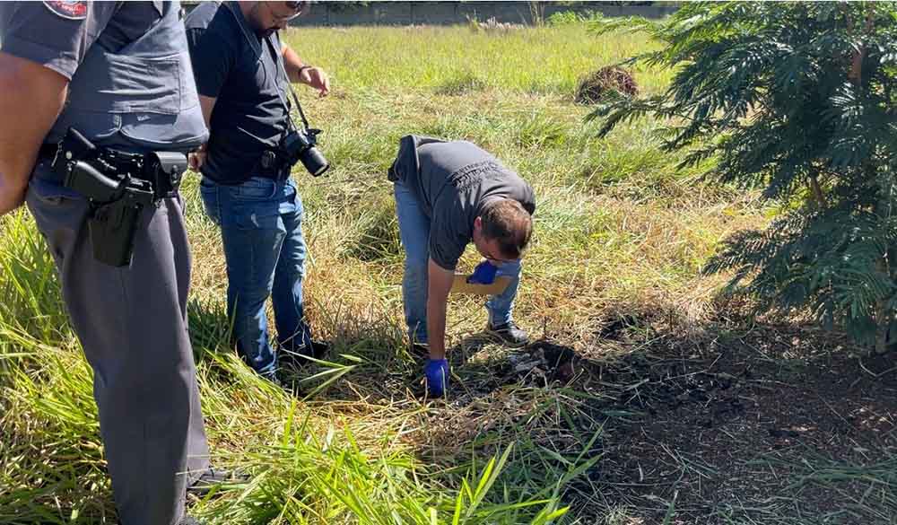 Polícia de Itapeva investiga se ossada encontrada em terreno é humana - sudoestepaulista
