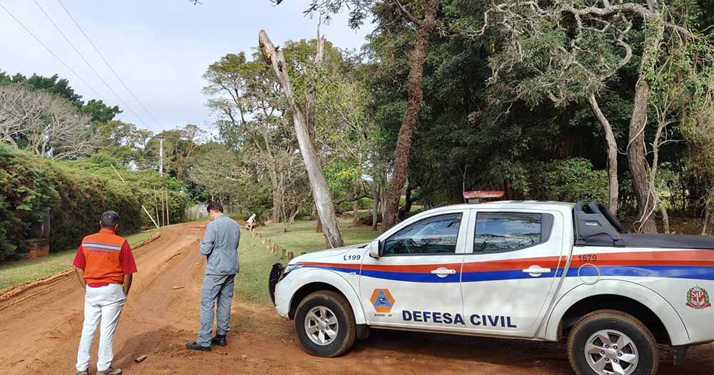 Avareense: precisa de atenção com Abelhas em sua propriedade? Chame a Defesa Civil - sudoestepaulista