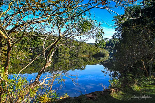 Parque Estadual em Ribeirão Grande, tem ações na Semana do Meio Ambiente 2025 - sudoestepaulista