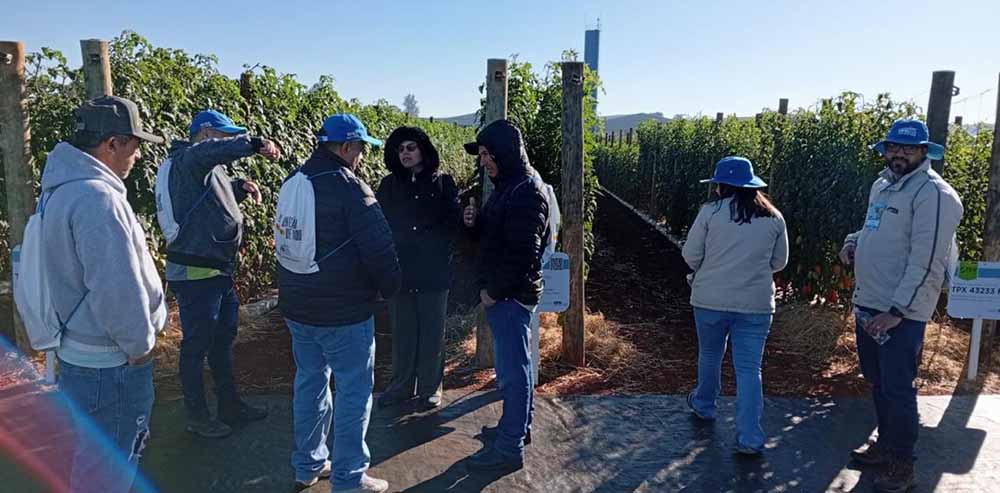 Produtores de Capão Bonito participam de feira de horticultura em Holambra - sudoestepaulista