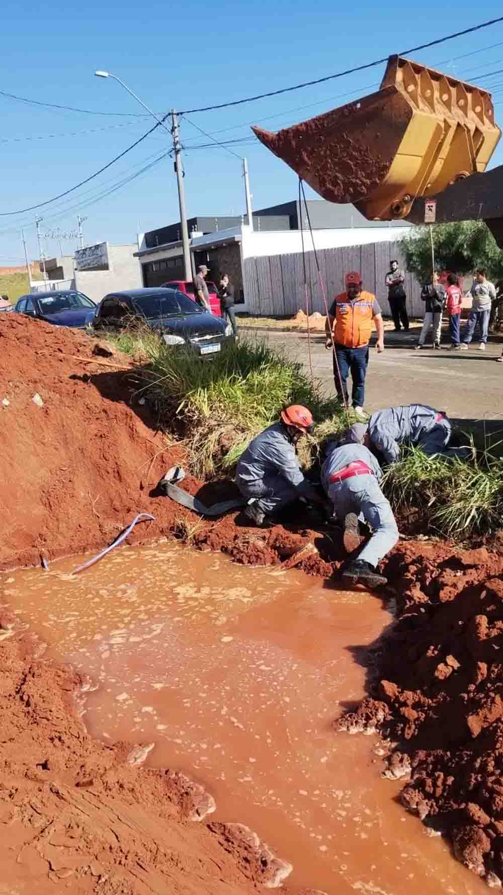 Da boiada urbana de Avaré, vaca e bezerro caem em buraco, um morre - sudoestepaulista