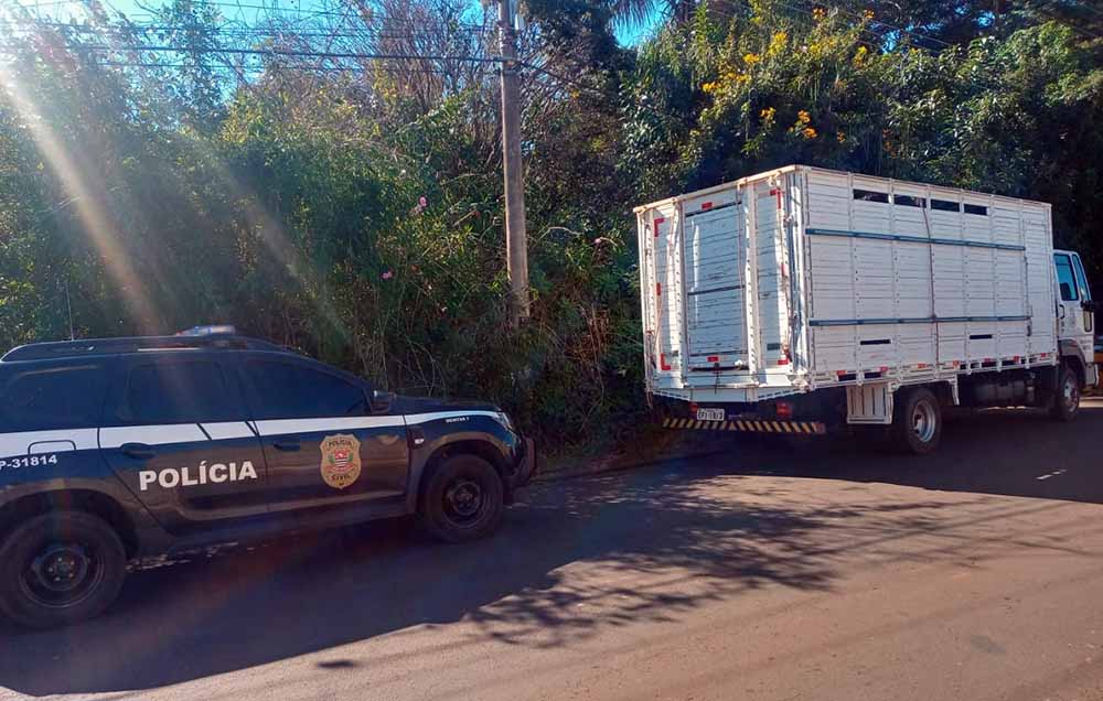Instituições de Avaré se unem para resgatar cães de chácara onde idosa vivia só - sudoestepaulista