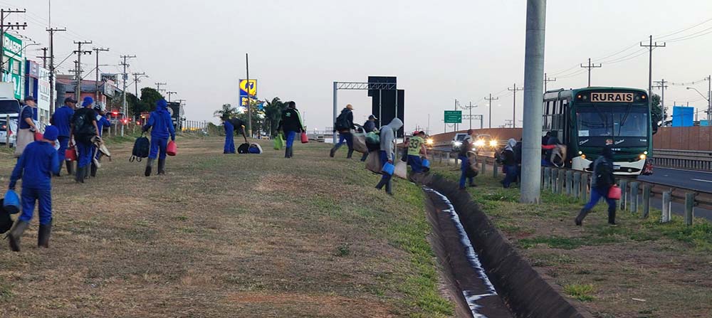 Ônibus com trabalhadores rurais pega fogo na SP-255, perímetro urbano de Avaré - sudoestepaulista