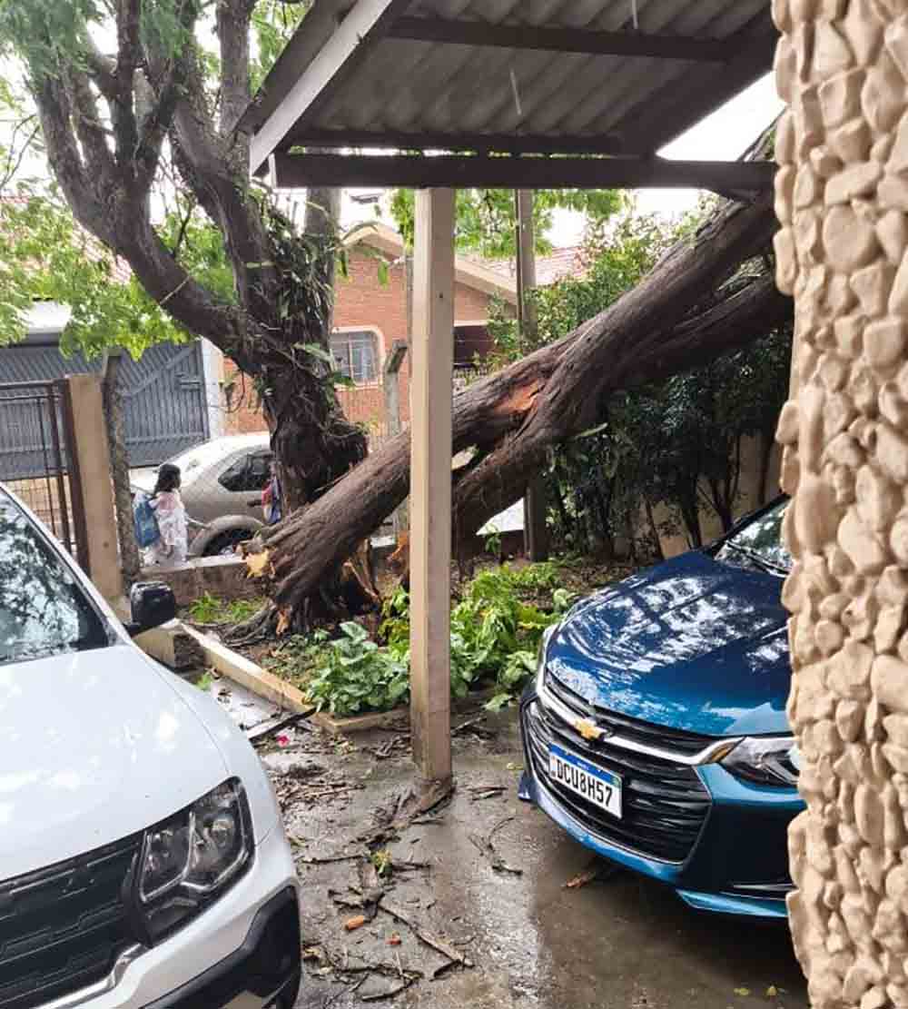 Tormenta que atingiu a região provocou grandes danos em Cerqueira César - sudoestepaulista