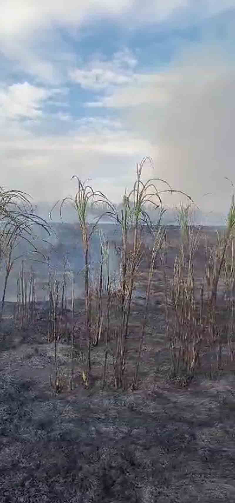 Estava levando pra casa o carro que havia acabado de comprar quando um incêndio acabou com tudo - sudoestepaulista