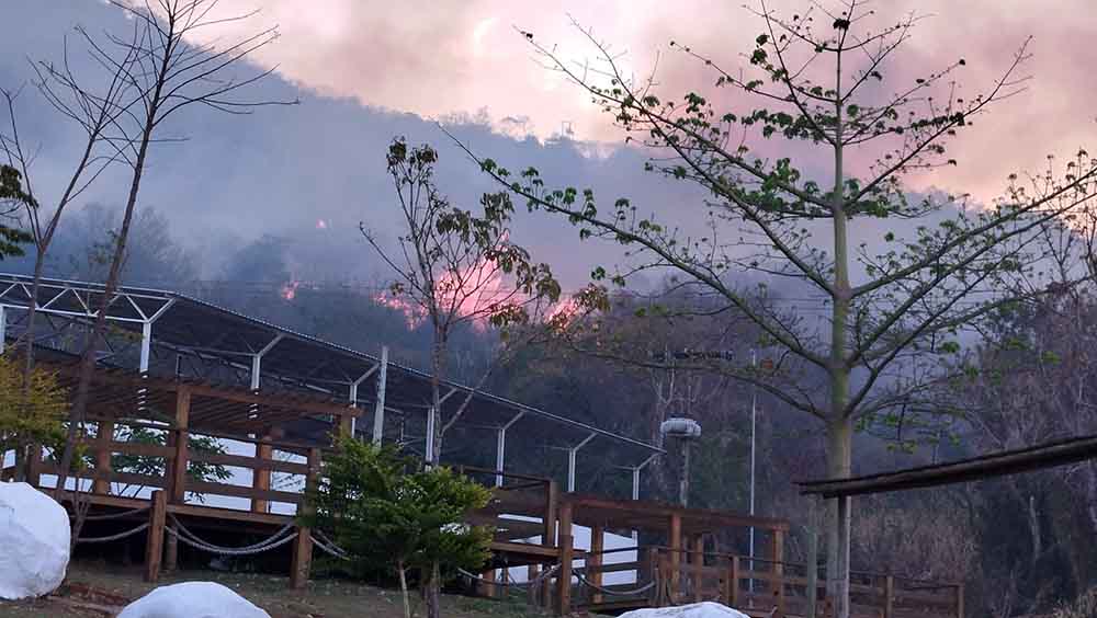 Inferno no paraíso: maior incêndio da história de Timburi já consumiu mais de 100 hectares de floresta - sudoestepaulista