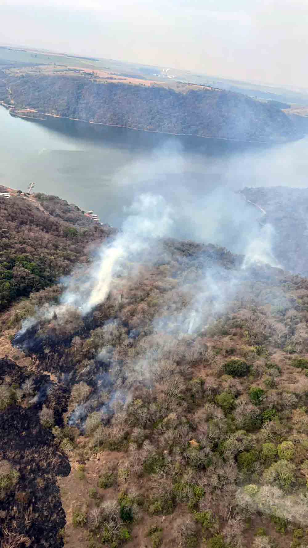 Inferno no paraíso: maior incêndio da história de Timburi já consumiu mais de 100 hectares de floresta - sudoestepaulista
