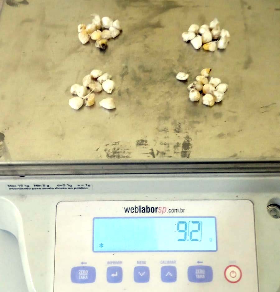 Traficantes presos em Cerqueira César já haviam vendido mais de R$ 6.5 mil em pedras de crack - sudoestepaulista