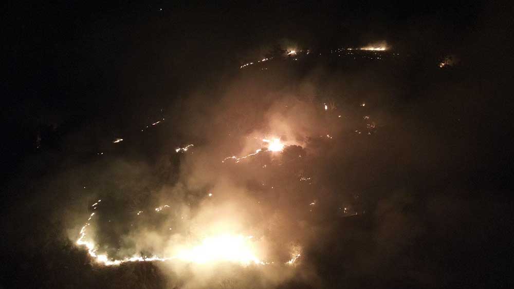 Inferno no paraíso: maior incêndio da história de Timburi já consumiu mais de 100 hectares de floresta - sudoestepaulista