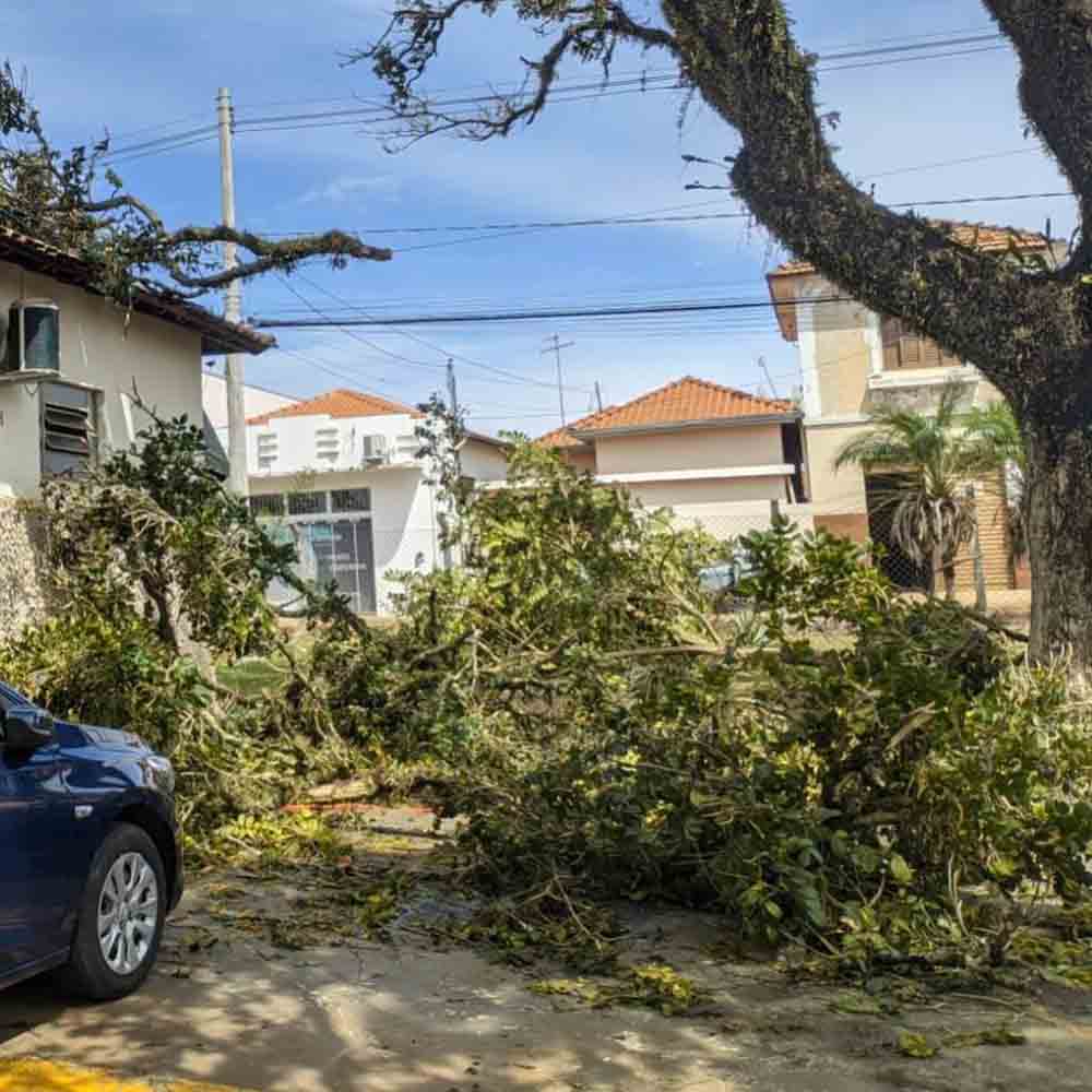 Tormenta que atingiu a região provocou grandes danos em Cerqueira César - sudoestepaulista