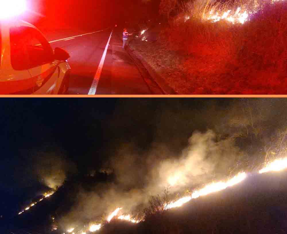 Defesa Civil de Fartura removeu abelhas, animais silvestres e combateu incêndios nos últimos dias - sudoestepaulista Defesa Civil de Fartura removeu abelhas, animais silvestres e combateu incêndios nos últimos dias - sudoestepaulista