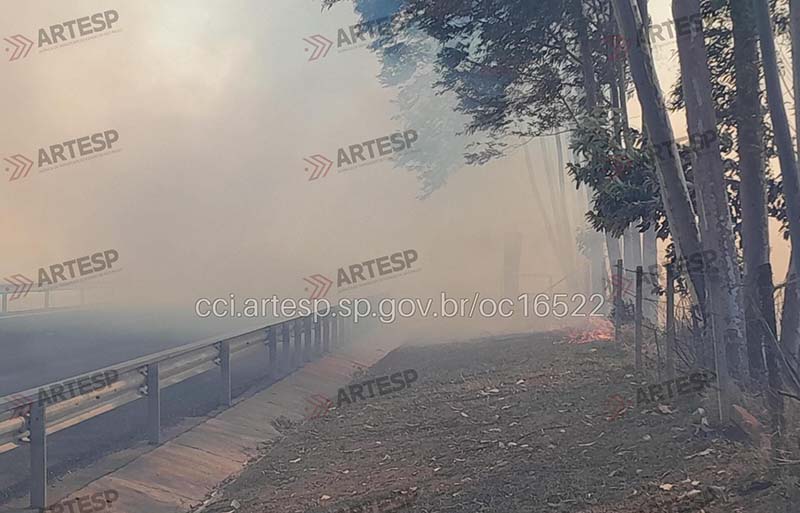 Por dois dias, incêndios no mesmo trecho, provocam transtornos na SP-258, em Itapeva - sudoestepaulista