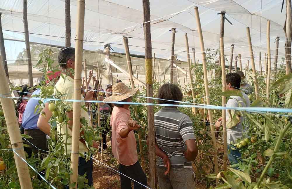 Conheça o programa de iniciativa privada que impulsiona agricultura familiar em Ribeirão Branco - sudoestepaulista Conheça o programa de iniciativa privada que impulsiona agricultura familiar em Ribeirão Branco - sudoestepaulista