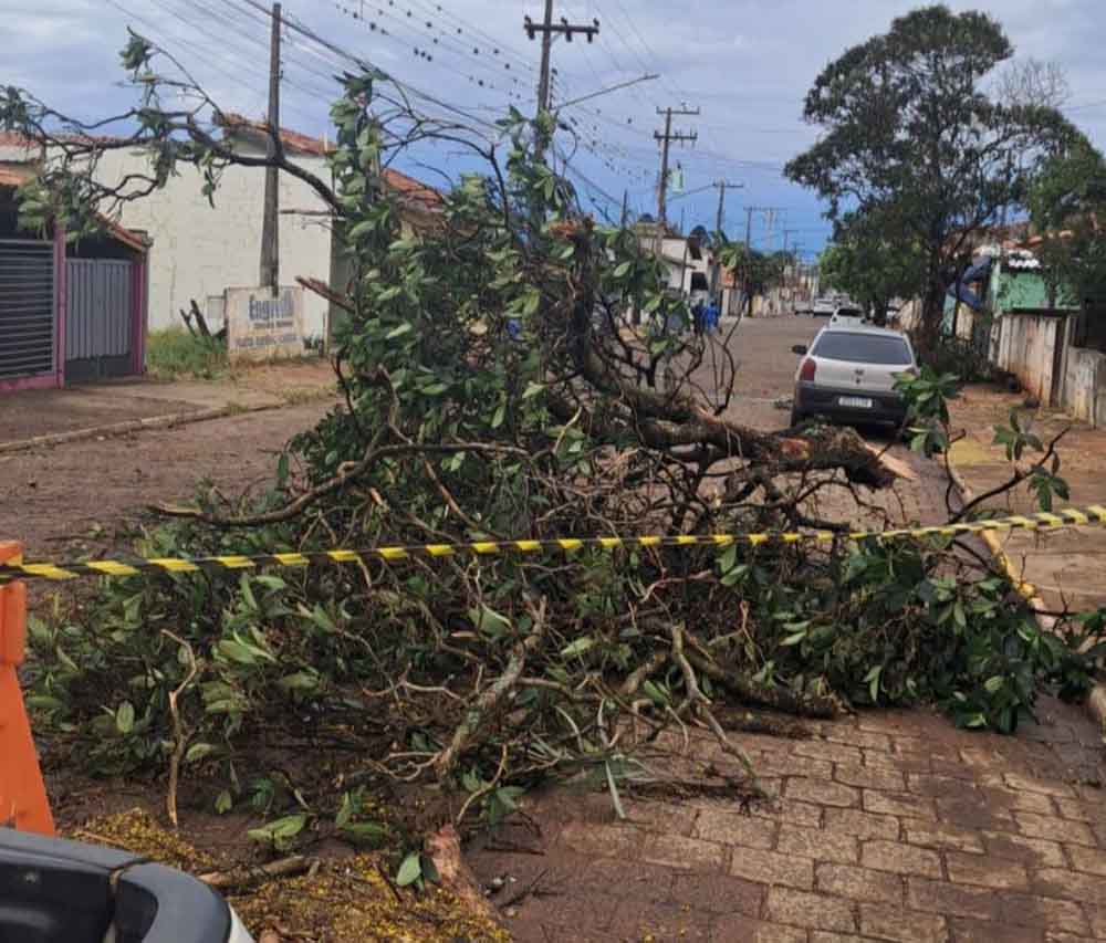 Tormenta que atingiu a região provocou grandes danos em Cerqueira César - sudoestepaulista