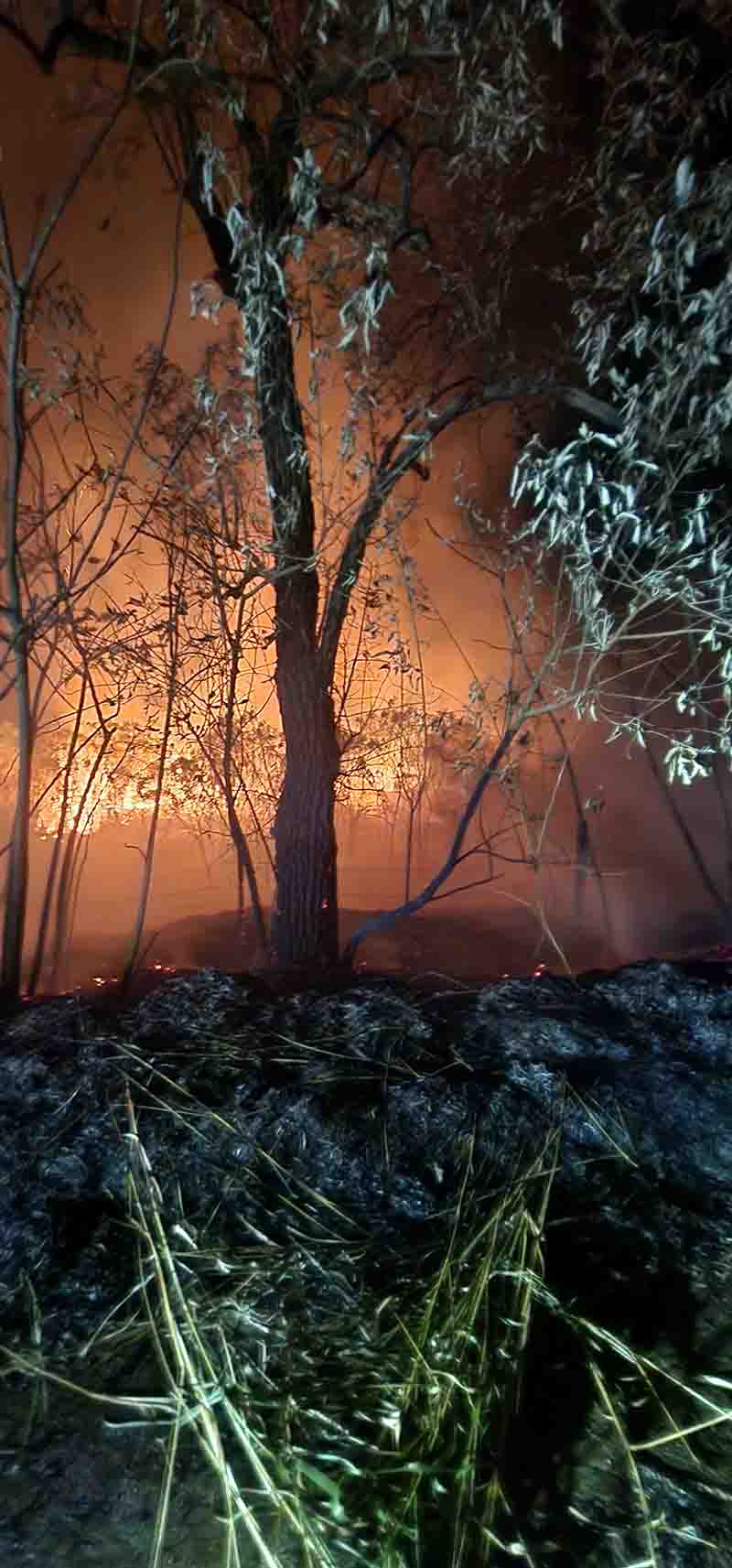 Defesa Civil de Taquarituba atua em três grandes focos de incêndio em menos de 24h - sudoestepaulista