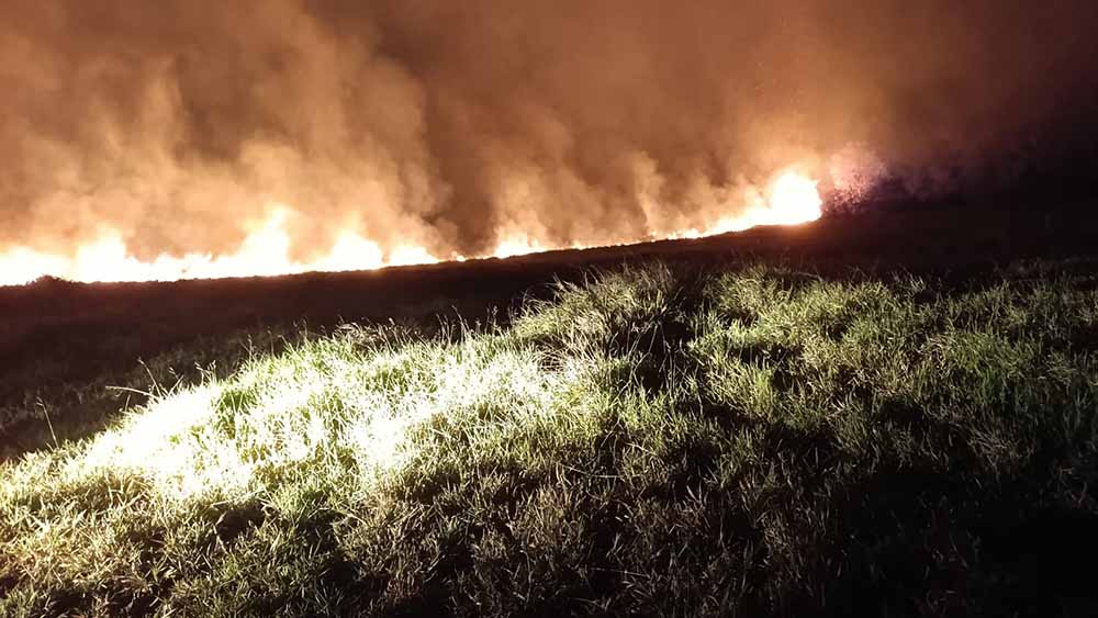 Fogo intencional e descaso, dizima grande área de mata nativa no Terra de São Marcos, em Avaré - sudoestepaulista