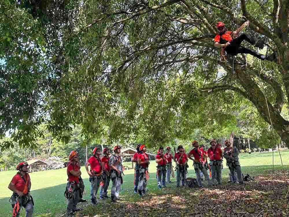 Bombeiros participam de curso especial sobre o manejo da Floresta Urbana de Avaré - sudoestepaulista