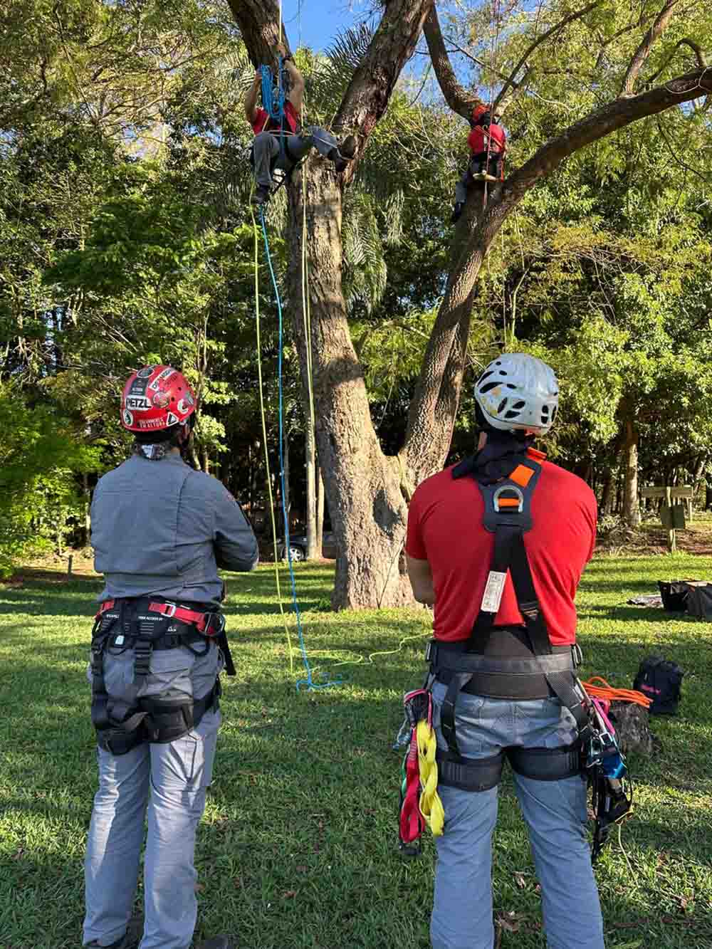 Bombeiros participam de curso especial sobre o manejo da Floresta Urbana de Avaré - sudoestepaulista