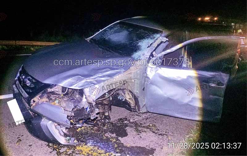 Quatro colisões seguidas na SP-280, envolve ônibus de cantora sertaneja - sudoestepaulista
