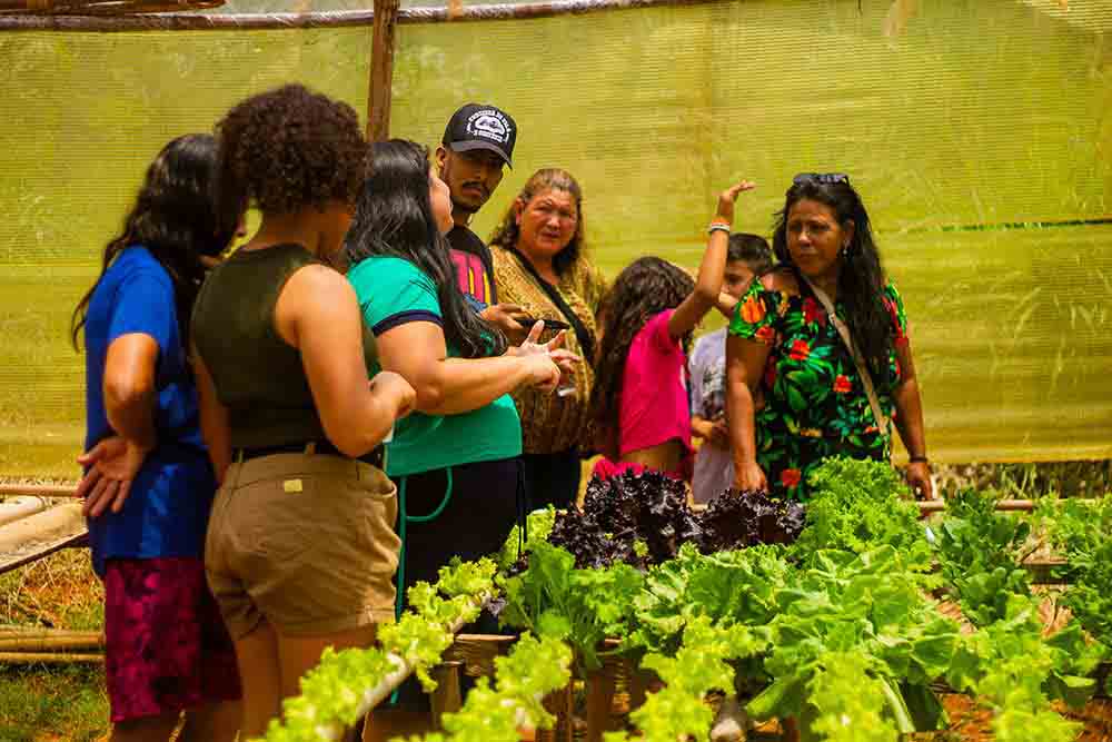 Nativos e quilombolas de Itararé, Riversul e Barão de Antonina sem encontram no Festival Irmãos da Terra - sudoestepaulista