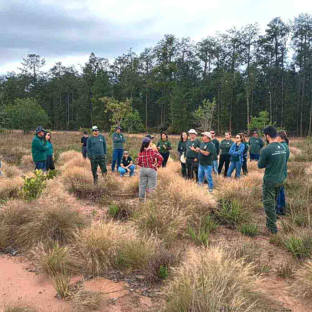 Secretária do Meio Ambiente faz visita à Estação Ecológica de Santa Bárbara - sudoestepaulista