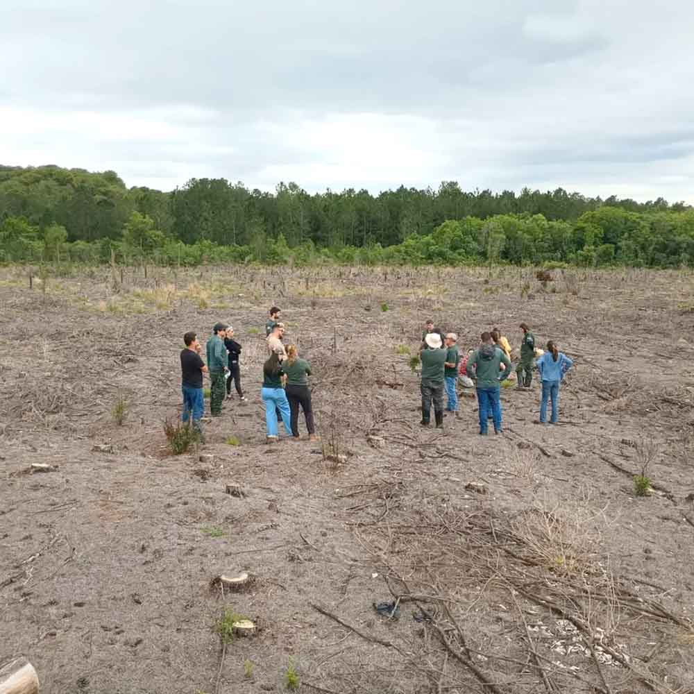Secretária do Meio Ambiente faz visita à Estação Ecológica de Santa Bárbara - sudoestepaulista
