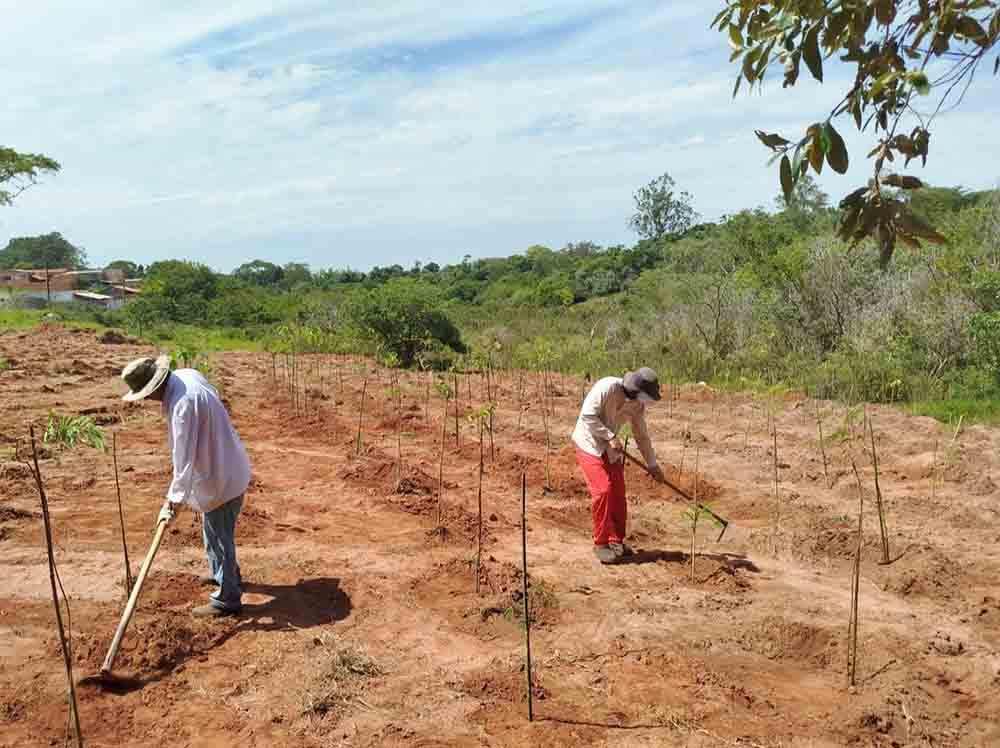 Nascente localizada no perímetro urbano de Cerqueira César recebe plantio de mil mudas - sudoestepaulista