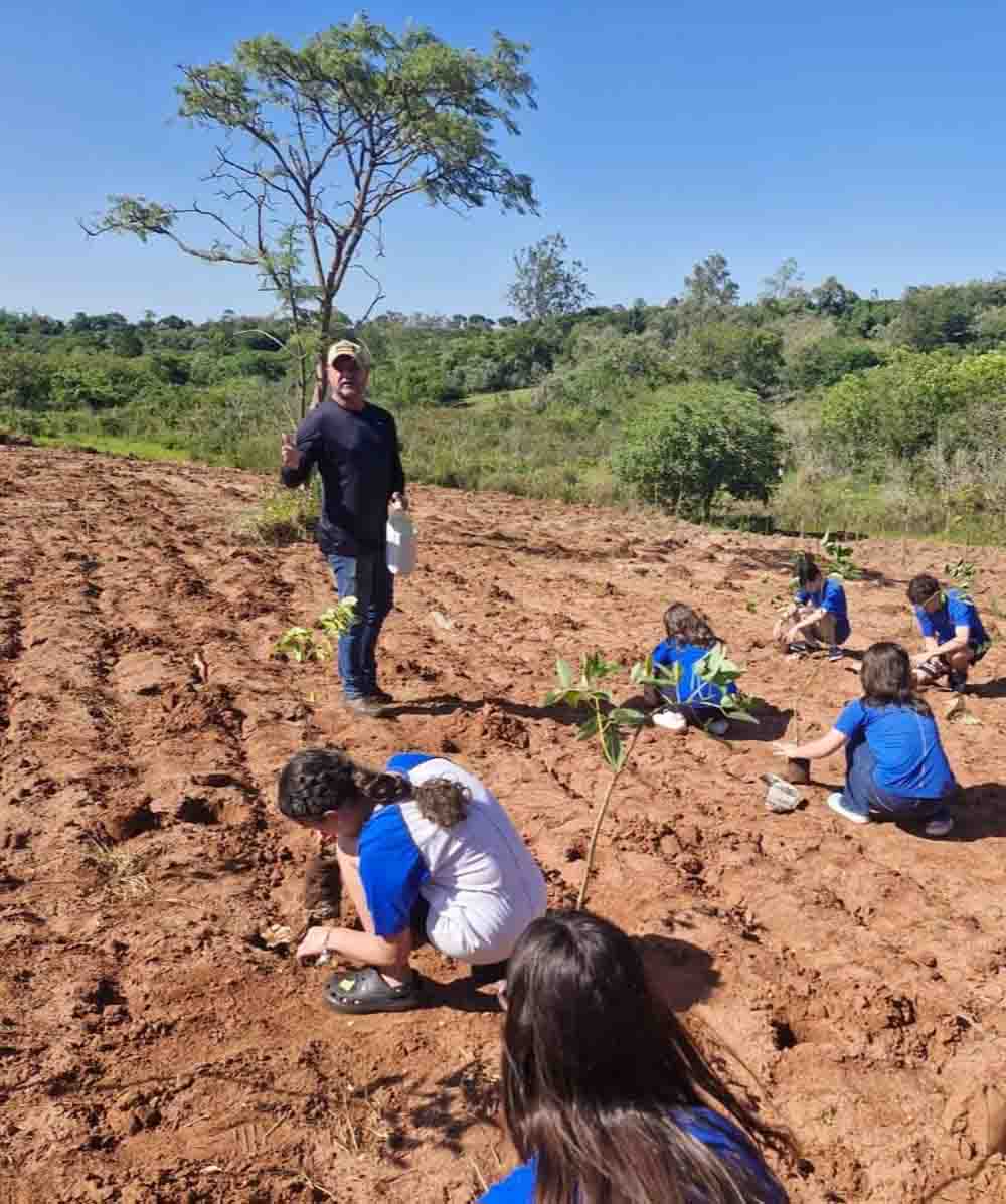 Nascente localizada no perímetro urbano de Cerqueira César recebe plantio de mil mudas - sudoestepaulista