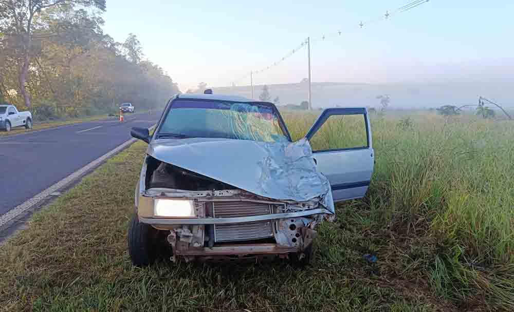 Três veículos atropelam dois bovinos na SP-261, em Cerqueira César - sudoestepaulista
