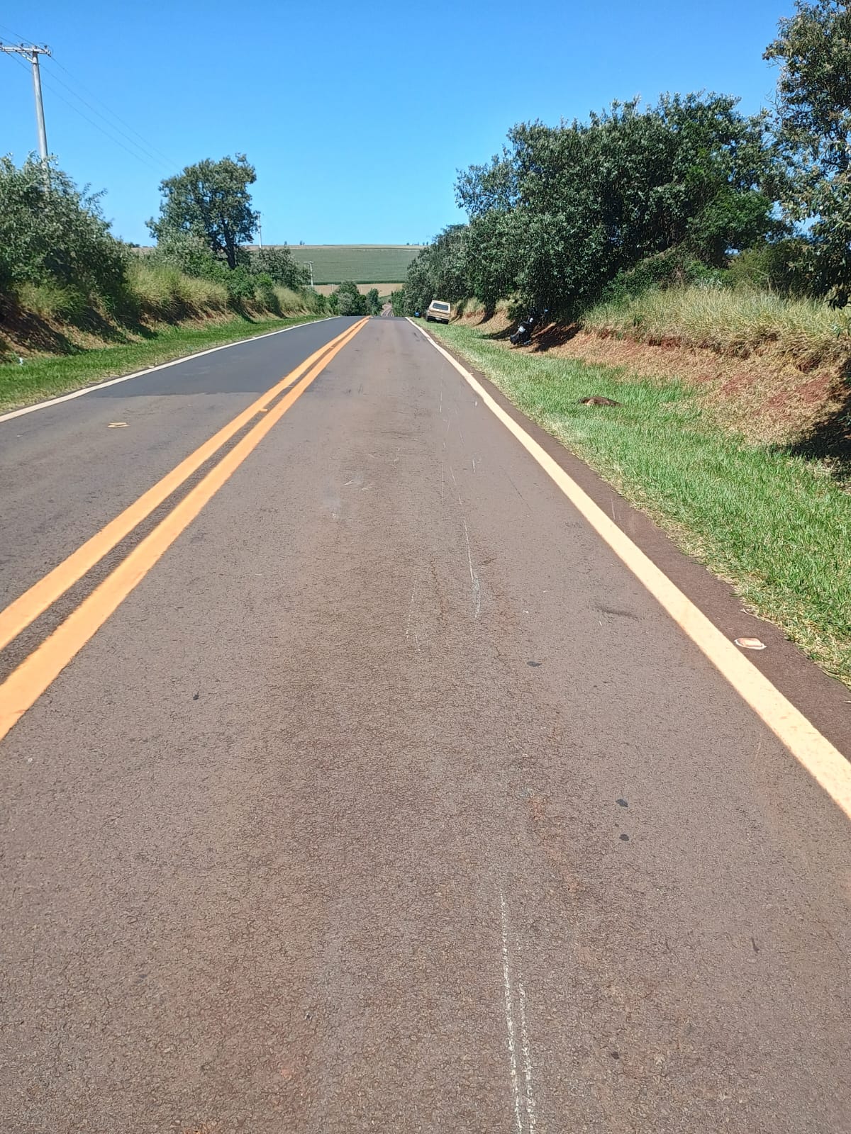 Motociclista de Avaré morre ao atropelar Cateto na SP-261 - sudoestepaulista