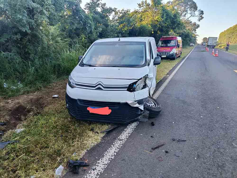 Três veículos atropelam dois bovinos na SP-261, em Cerqueira César - sudoestepaulista