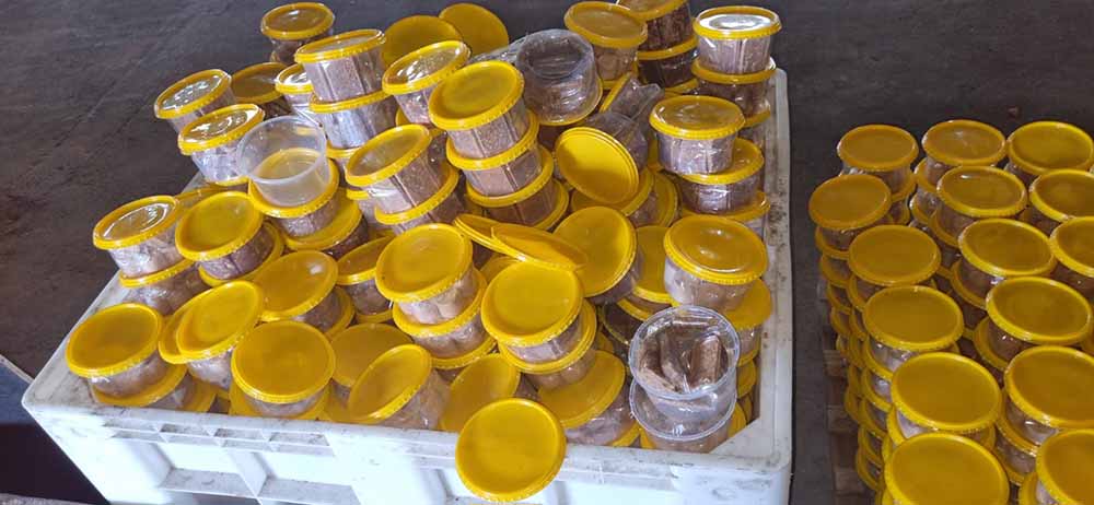 Operação “Wonka” da Polícia Civil fecha fábrica clandestina de doces em Taquarituba - sudoestepaulista Operação “Wonka” da Polícia Civil fecha fábrica clandestina de doces em Taquarituba - sudoestepaulista